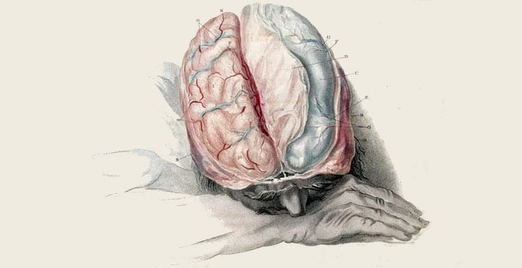 Expanding the definition of Business Intelligence to fit modernity