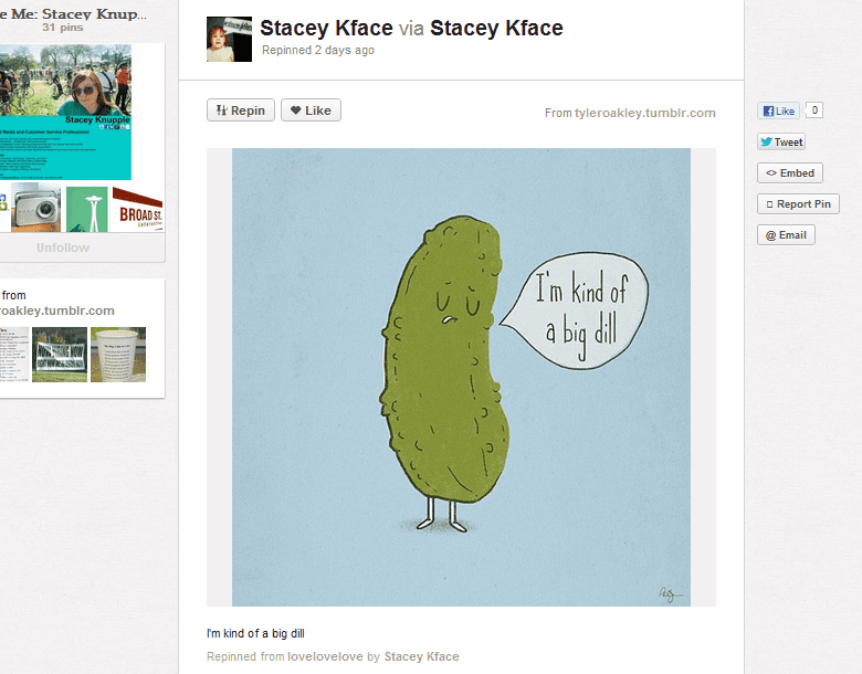 big-dill pinterest resume