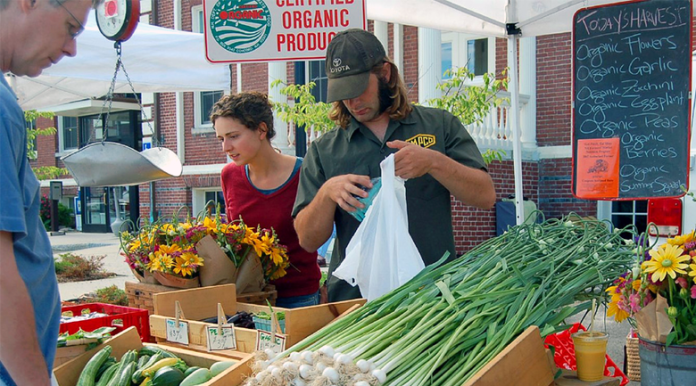 organic produce green living