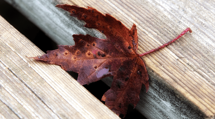 cracks falling through cracks