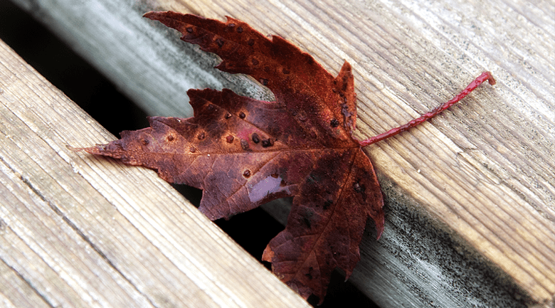 cracks falling through cracks