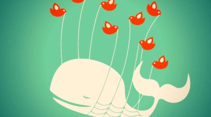 fail whale