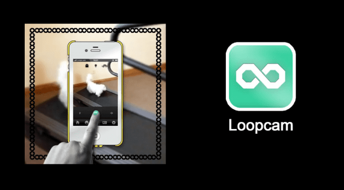 loopcam animated gifs
