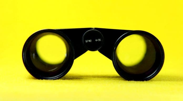 small business intelligence