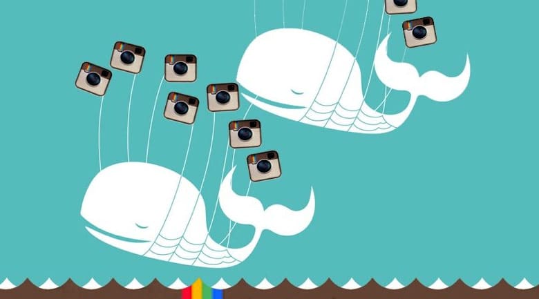 twitter and instagram