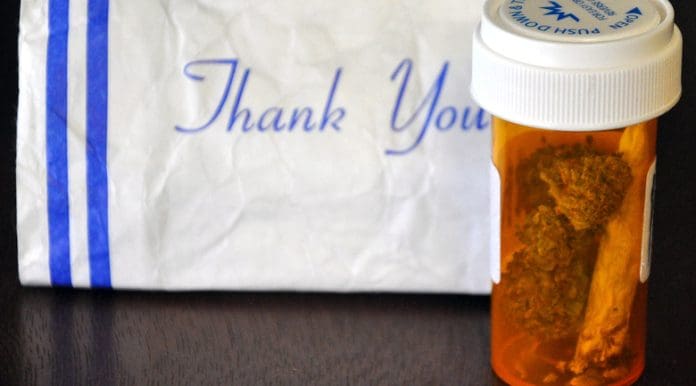 cannabusiness medical marijuana small business