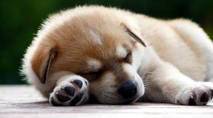 real estate short sales real estate short sales