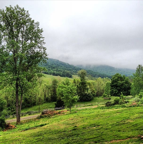 sustainable construction