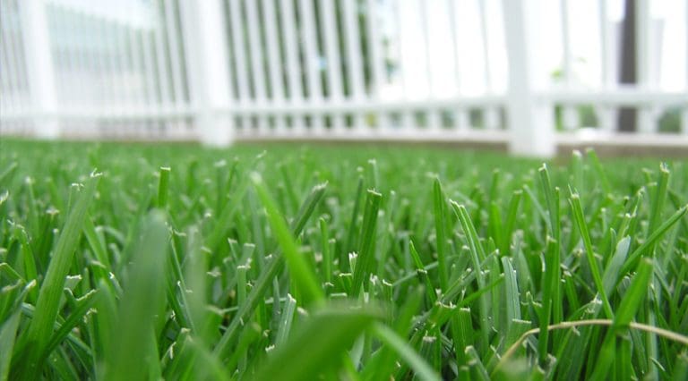 Can money buy happiness or is the grass always greener?