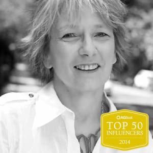 liz strauss social media expert