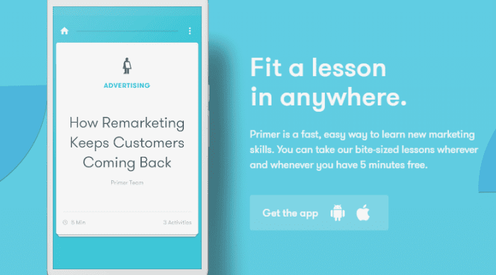 google-pilot google pilot