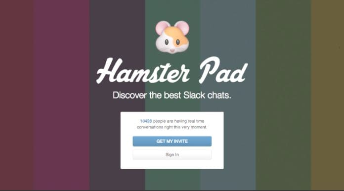 hamster pad
