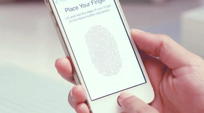 fingerprint