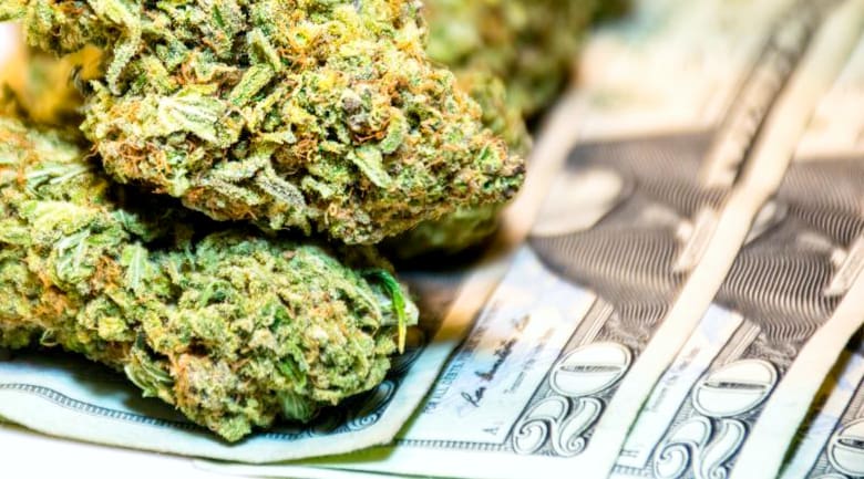 legal marijuana legal marijuana