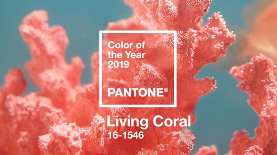 pantone-living-coral-2018 pantone living coral