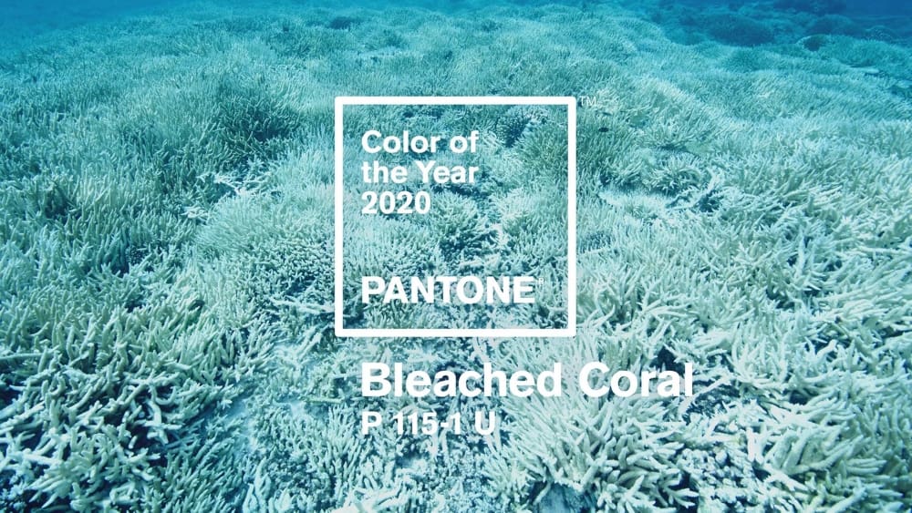pantone unofficial color of 2020