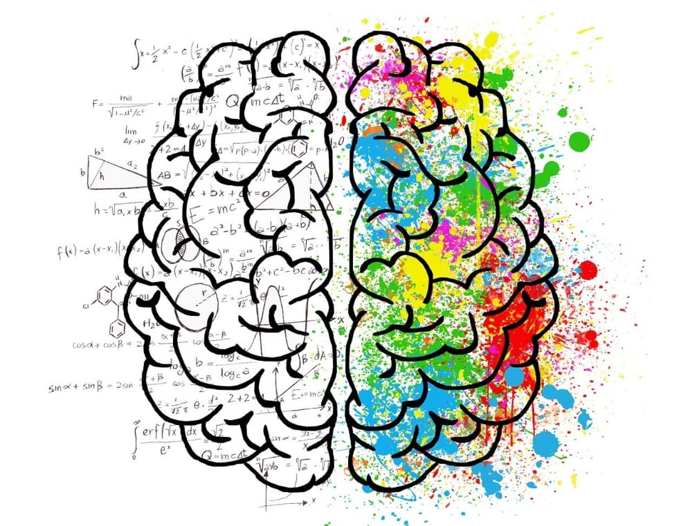 Brain Left side of brain showing calculations and right side of brain with colorful paint, resembling creativity and learning.