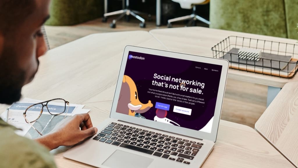 person that has mastadon open on laptop person that has mastodon open on laptop