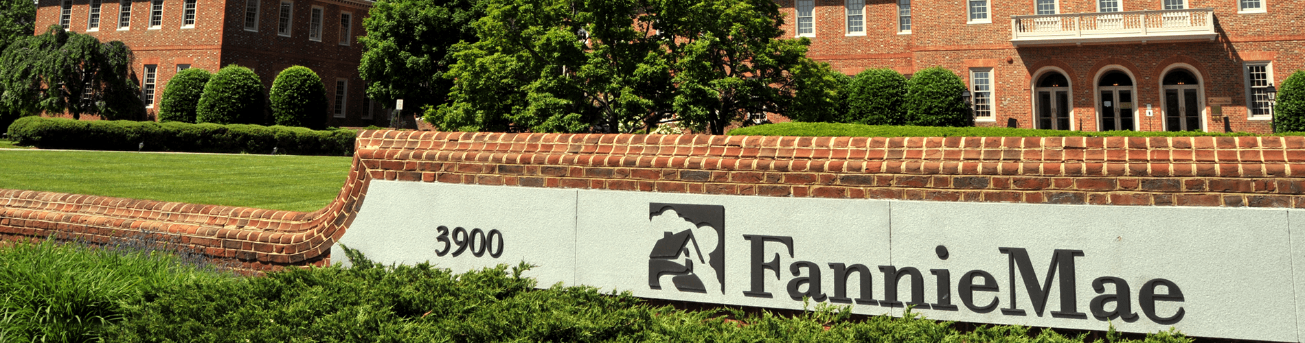 fannie mae