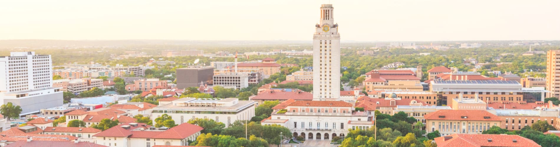 university of texas
