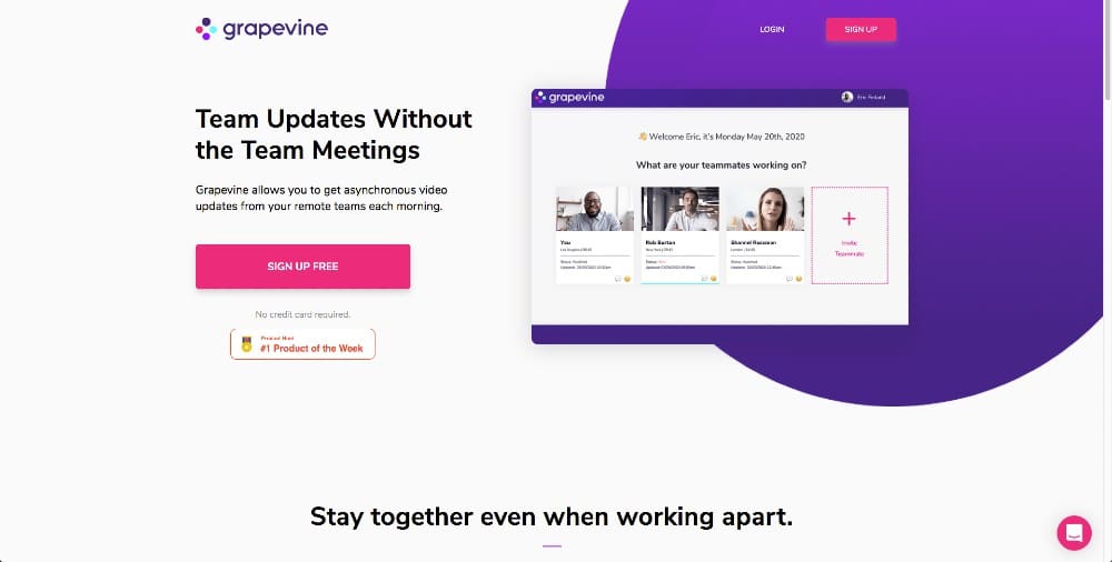 grapevine zoom competitor