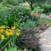 Pathway outside of home with yard, plants, trees, and flowers