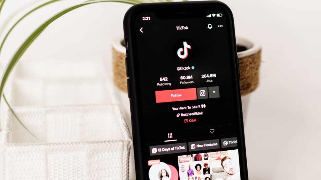 Tiktok on iphone representing keystroke trackers